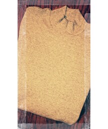 UNIQLO | タートルネック
(ニット/セーター)