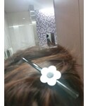 「ヘアアクセサリー(バレッタ/ヘアクリップ)」