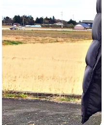 たんぼ | その他