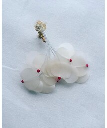 nemnem | イヤリング