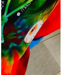 MISHKA | マウンテンパーカー