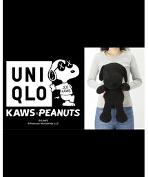 kaws x peanuts | 雑貨/ホビー