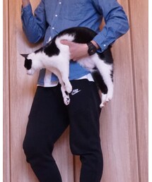 ねこ | ファッション雑貨