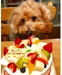 父チョップくん誕生日12.1の「その他(福袋/福箱)」