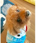 母ミルクの「その他(福袋/福箱)」