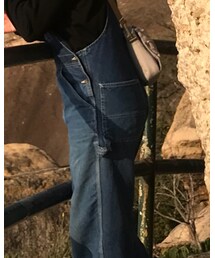 Carhartt | サロペット/オーバーオール