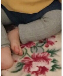 Birthday | レギンス/スパッツ