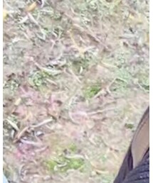 顺芽 | ニット/セーター