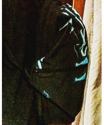 Cote&Ciel | バックパック/リュック