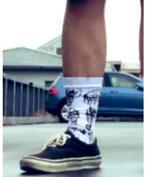 VANS | スニーカー