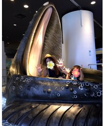 食べられるー | その他