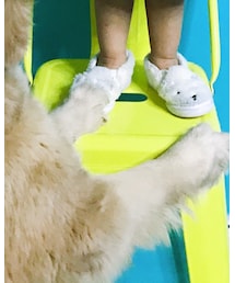 GAP | スリッポン