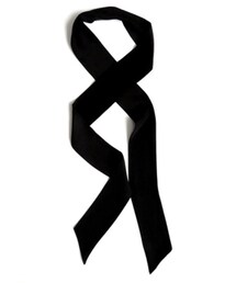skinny scarf | マフラー