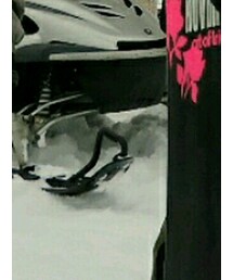 November | 雑貨/ホビー