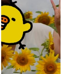 GU | シャツ/ブラウス