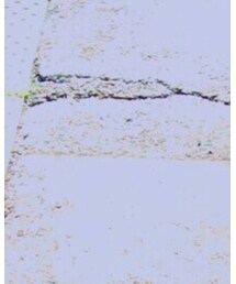 TOMMY HILFIGER | シャツ/ブラウス