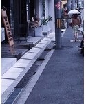 SUN SURF(サンサーフ)の「トップス(シャツ/ブラウス)」