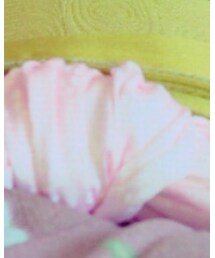 へこおび | その他