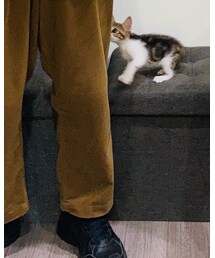 MUJI Labo | その他パンツ