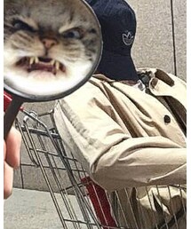 kaltendin | トレンチコート