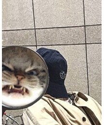 adidas | キャップ