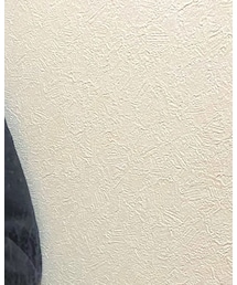 UNIQLO | トップス