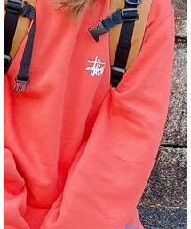 STUSSY | スウェット