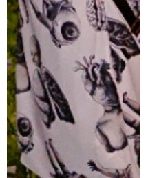 Drug Honey | ワンピース