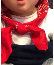 ダイソー | マフラー