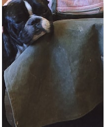 PUEBCO | エプロン