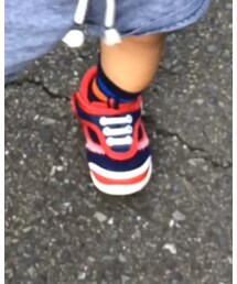 VANS | スニーカー