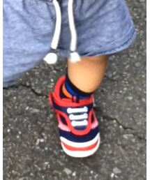 Champion | ソックス/靴下