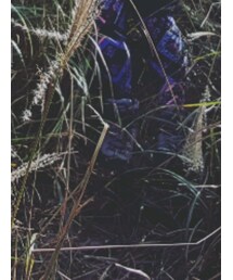 Scarpa | その他シューズ