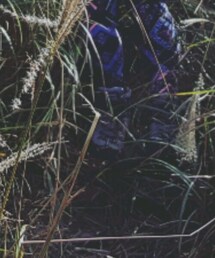 cotton on | レギンス/スパッツ