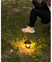 THE NORTH FACE | スニーカー