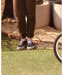 VANS | スニーカー