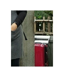 dazzle spirea | チュニック