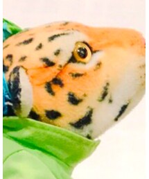 ティッシュケース | その他