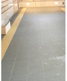 POINTER | カバーオール