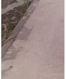 🍇 | レッグウェア