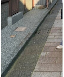 mystic | スウェットパンツ