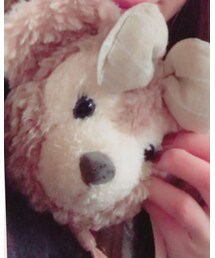 Disney | コインケース