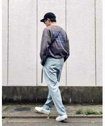 バックショット | その他
