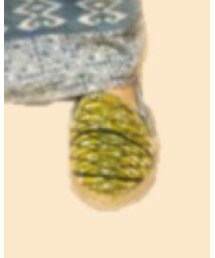 AJARA | シューズ