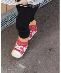 靴下屋 | ソックス/靴下