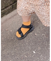 靴下屋 | ソックス/靴下