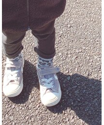 靴下屋 | ソックス/靴下