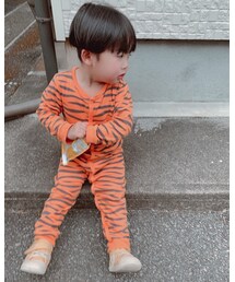 玄関前スタイル | その他