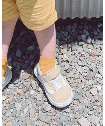 靴下屋 | ソックス/靴下