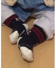 Birthday | ソックス/靴下